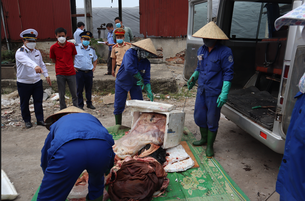 Phú Thọ: Chặn bắt 172kg nội tạng động vật đã bốc mùi hôi thối đang trên đường tiêu thụ